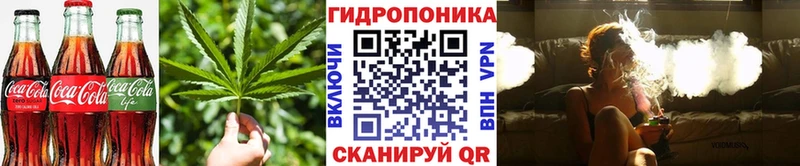 Canna-Cookies марихуана  Завитинск 