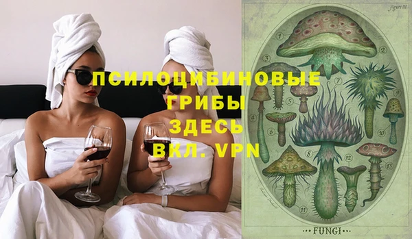 трава Няндома