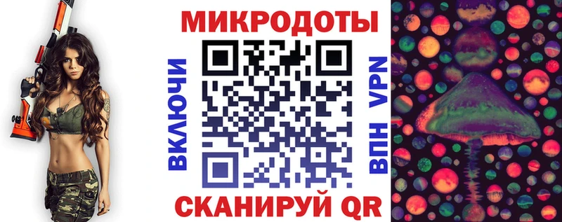 наркотики  Завитинск  Галлюциногенные грибы GOLDEN TEACHER 